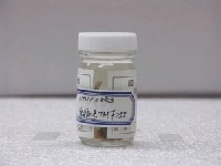 藏品(矮冠鳚)的圖片